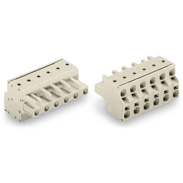 2-conductor female connector Push-in CAGE CLAMP® 2.5 mm² light gray image 1