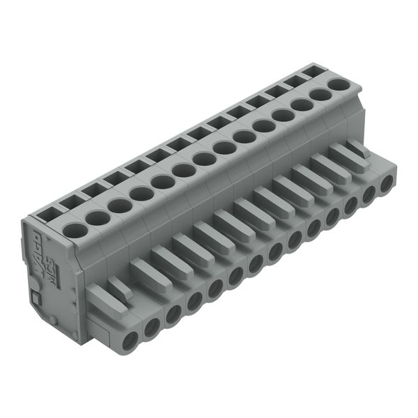 1-conductor female connector, angled CAGE CLAMP® 2.5 mm² gray image 1