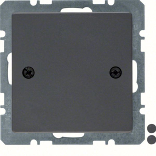 Blind plug centre plate, screw-on, Q.1/Q.3, ant. velvety, lacq. image 1