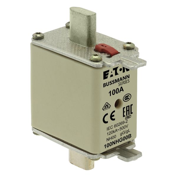 Fuse-link, low voltage, 100 A, AC 500 V, NH00, gL/gG, IEC, dual indicator image 9