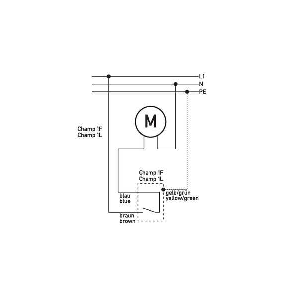 2G Frame CD582KGN image 9