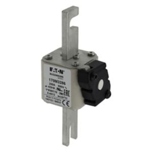 FUSE 250A 690V 1*KW/110 AR. image 1