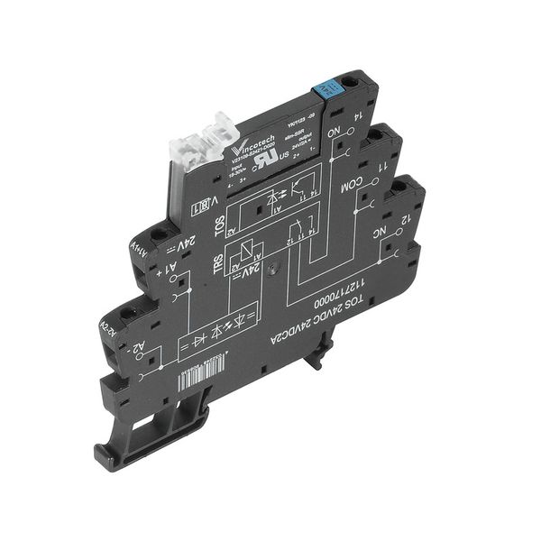 Solid-state relay, 12 V DC ±20 %, Rectifier 3... 48 V DC, 100 mA, Scre image 1