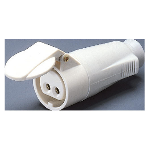 STRAIGHT CONNECTOR - IP44 - 2P 32A 20-25V and 40-50V d.c. - WHITE - 10H - SCREW WIRING image 1