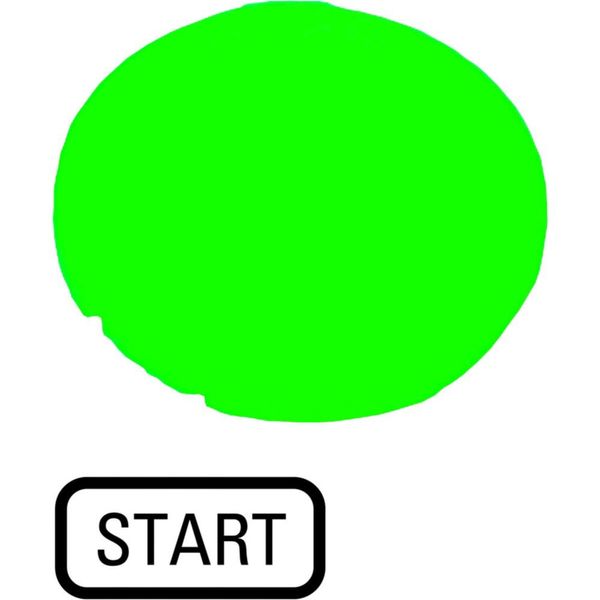 Button lens, flat green, START image 6