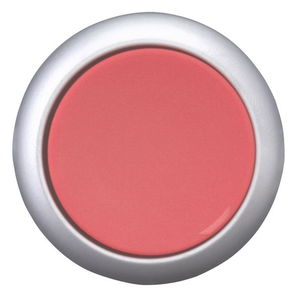 Pushbutton, RMQ-Titan, Flat, maintained, red, Blank, Bezel: titanium image 3