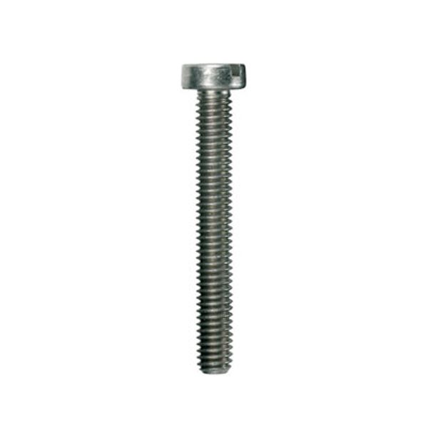 Mounting screw (Terminal), 0.00 M2.5 image 1