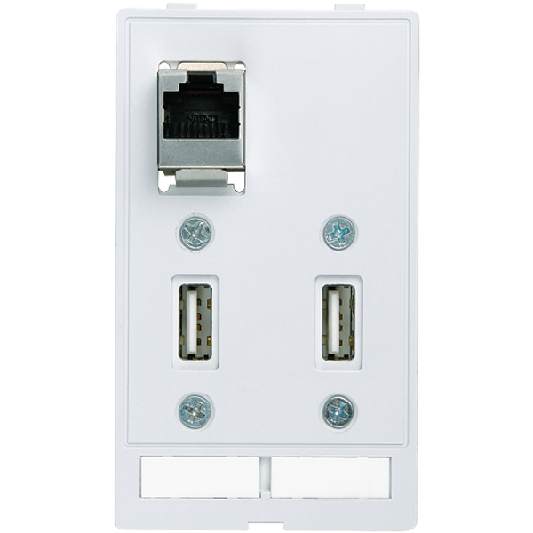 MODLINK MSDD DATA  INSERT 2xUSB-A female/female + 1xRJ45 image 1