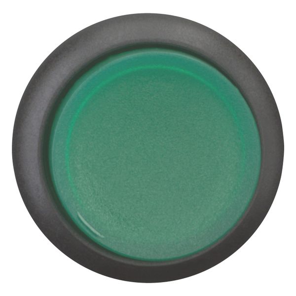 Illuminated pushbutton actuator, RMQ-Titan, Extended, momentary, green, Blank, Bezel: black image 5