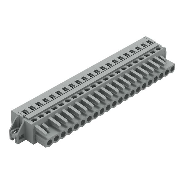 1-conductor female connector CAGE CLAMP® 2.5 mm² gray image 1