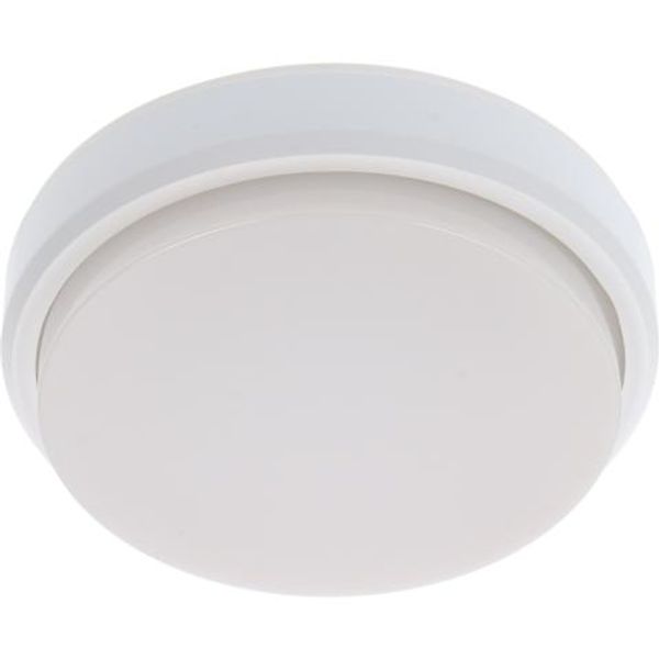 Outdoor Light with Light Source - wall light 10W 850lm 4000K IP54  - White image 1