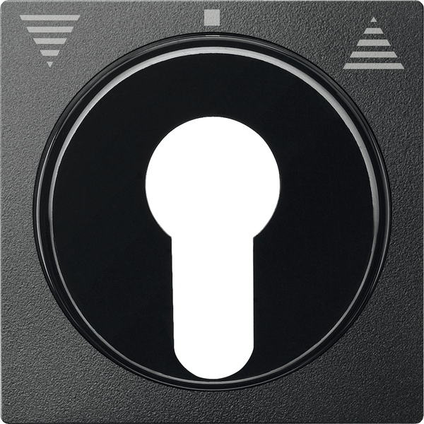 Cen.pl. f. DIN cylinder key switch insrts f. roller shut.s, anthracite, System M image 2