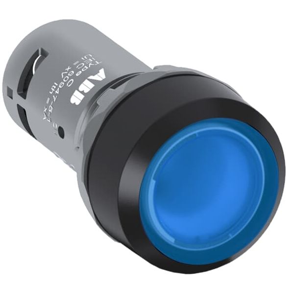 CP1-13G-10 Pushbutton image 7