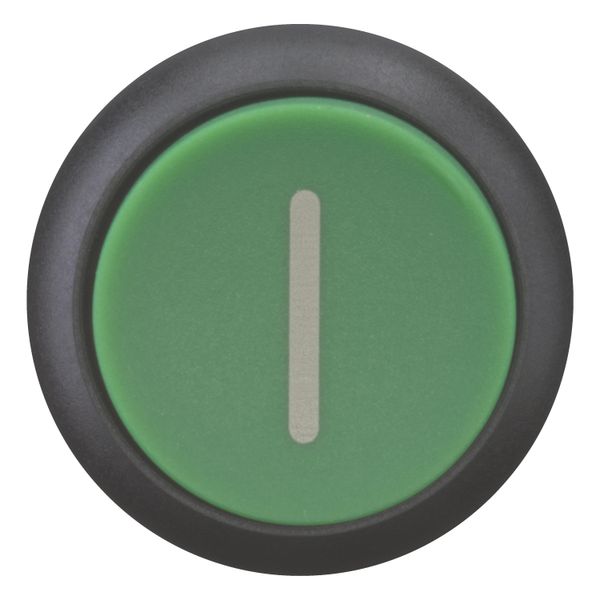 Pushbutton, RMQ-Titan, Extended, momentary, green, inscribed, Bezel: black image 5