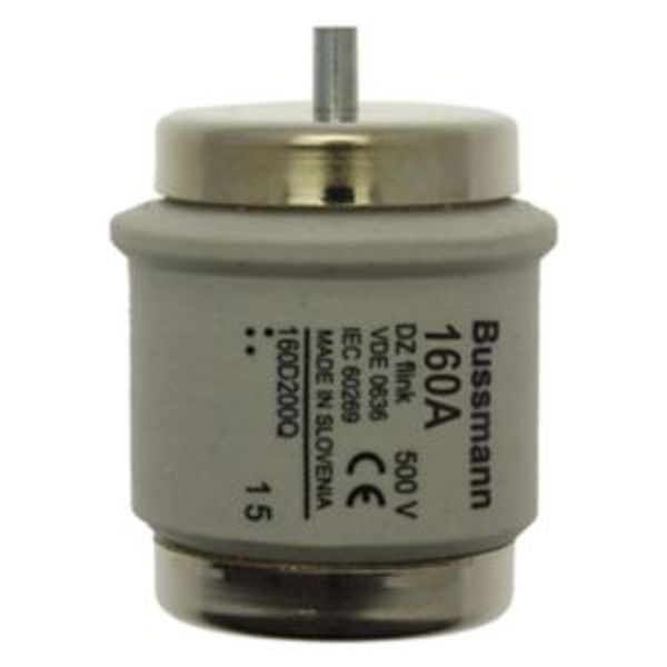 Fuse-link, low voltage, 160 A, AC 500 V, D5, 56 x 46 mm, gR, DIN, IEC, fast-acting image 2