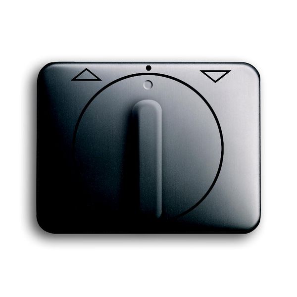 1740 DR-20 CoverPlates (partly incl. Insert) carat® Platinum image 1