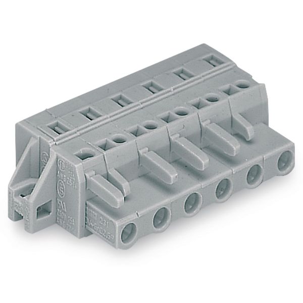 1-conductor female connector CAGE CLAMP® 2.5 mm² gray image 3