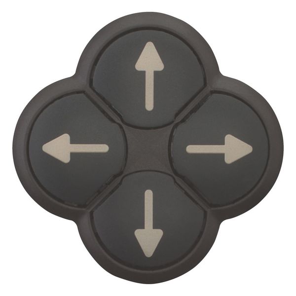 Position pushbutton, RMQ-Titan, Actuators non-flush, momentary, 4-fold, opposing pushbuttons mechanically interlocked, Bezel: black, arrow up image 8
