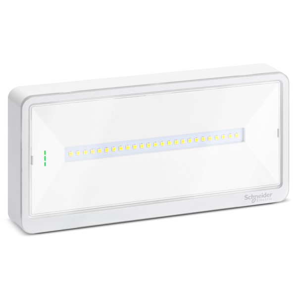 Emergency luminaire, Exiway Light, selectable duration, up to 100 lm, IP65, LED image 4