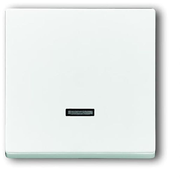6543-84-101 CoverPlates (partly incl. Insert) future®, Busch-axcent®, solo®; carat® Studio white image 1