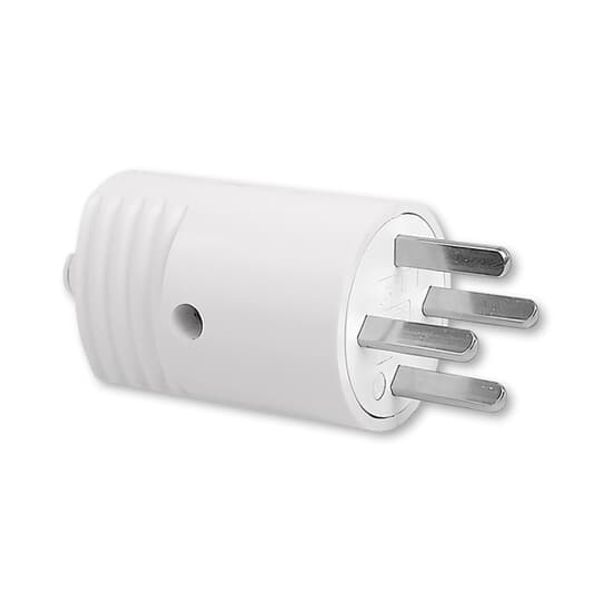 5538N-C01706 S Plug with flat pins, type L image 1