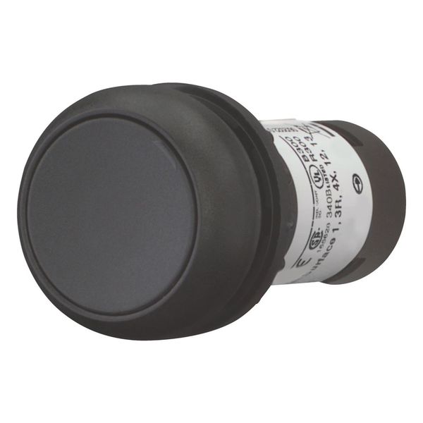 Pushbutton, Flat, maintained, 2 NC, Screw connection, black, Blank, Bezel: black image 5