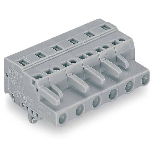 1-conductor female connector CAGE CLAMP® 2.5 mm² gray image 4