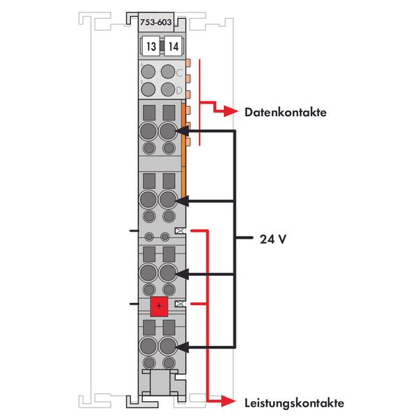 Potential Distribution 8-way 24 V light gray image 4