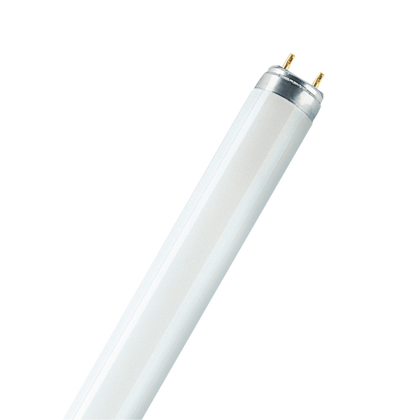 Fluorescent Bulb Luxe 90 18W/950 T8 NORDEON image 1
