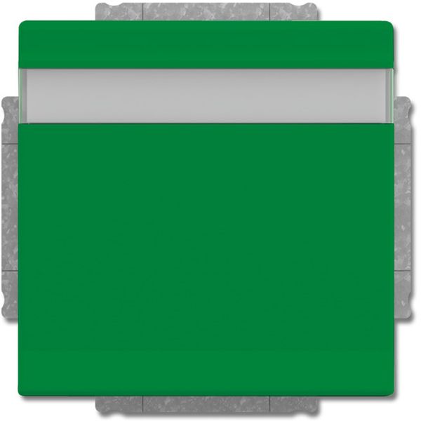 20 EUKNB-13-82 CoverPlates (partly incl. Insert) future®, Busch-axcent®, solo®; carat®; Busch-dynasty® Green, RAL 6032 image 1