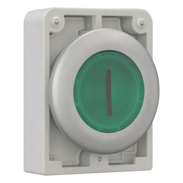 Illuminated pushbutton actuator, RMQ-Titan, Flat, momentary, green, inscribed 1, Metal bezel image 12