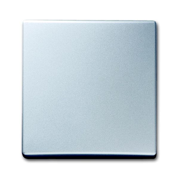 2106-33 CoverPlates (partly incl. Insert) carat® Aluminium silver image 1