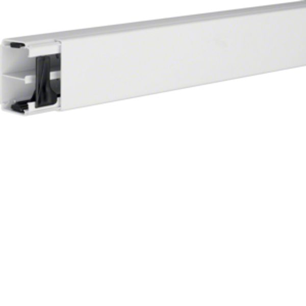 Trunking with partition PVC LF40x60mm tw image 1