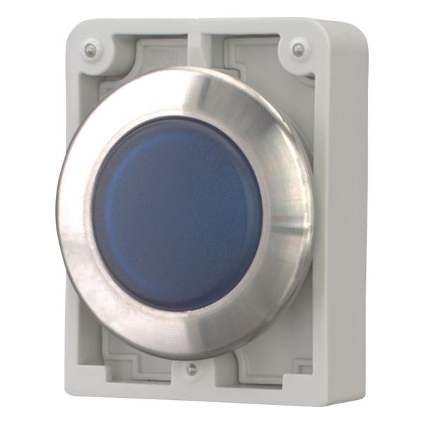 Indicator light, RMQ-Titan, flat, Blue, Front ring stainless steel image 2