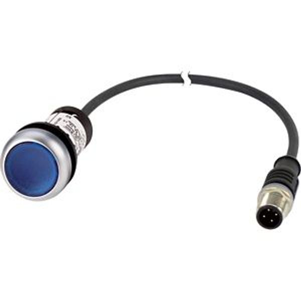 Illuminated pushbutton actuator, Flat, momentary, 1 N/O, Cable (black) with M12A plug, 4 pole, 0.2 m, LED Blue, Blue, Blank, 24 V AC/DC, Bezel: titani image 5