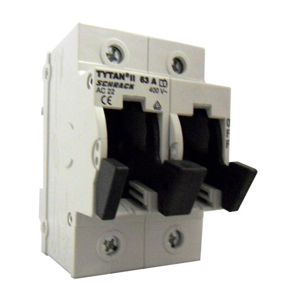 TYTAN II, D02 Fuse switch disconnector, 2-pole, 63A image 1