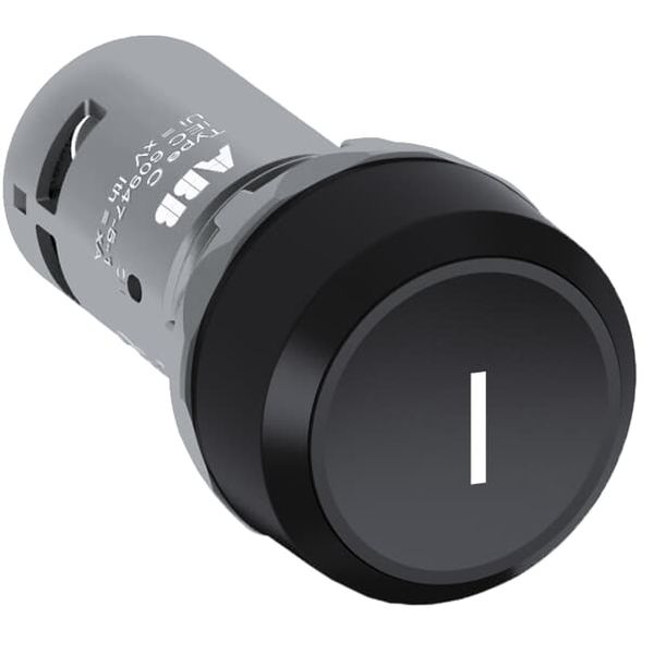 CP11-10G-11 Pushbutton image 1