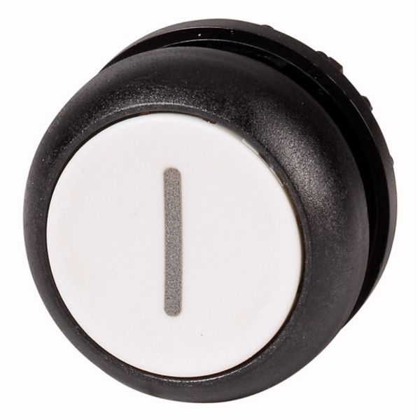 Pushbutton, RMQ-Titan, Flat, momentary, White, inscribed, Bezel: black image 1