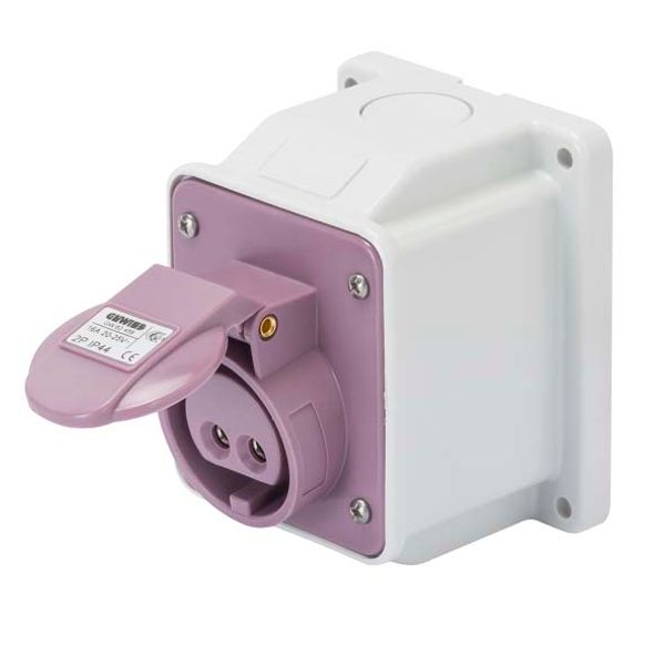 10° ANGLED SURFACE-MOUNTING SOCKET-OUTLET - IP44 - 2P 32A 20-25V 50-60HZ - VIOLET - n.r. - SCREW WIRING image 2