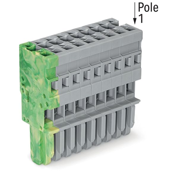 1-conductor female connector CAGE CLAMP® 4 mm² gray, green-yellow image 2