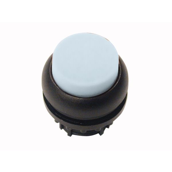 Illuminated pushbutton actuator, RMQ-Titan, Extended, maintained, White, Blank, Bezel: black image 1