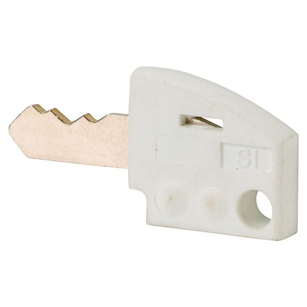 Individual key, white image 4