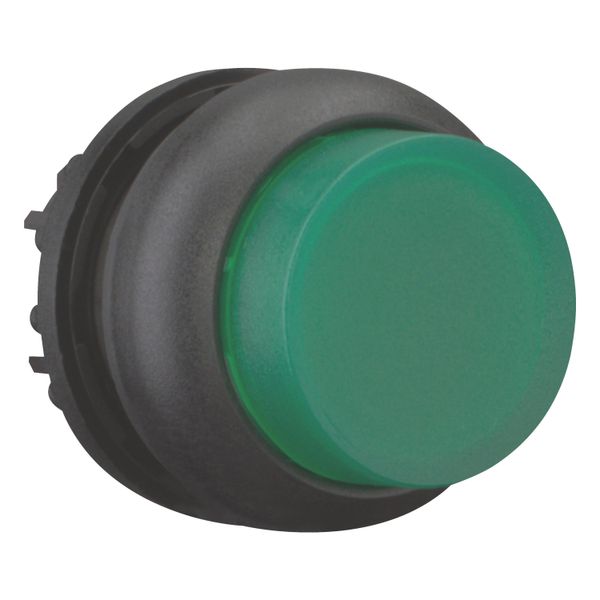 Illuminated pushbutton actuator, RMQ-Titan, Extended, momentary, green, Blank, Bezel: black image 12