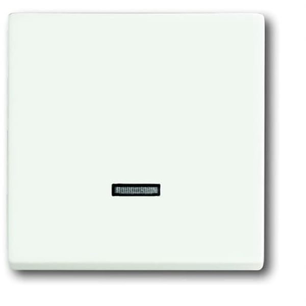 6543-884-101 CoverPlates (partly incl. Insert) future®, Busch-axcent®, carat® studio white matt image 1