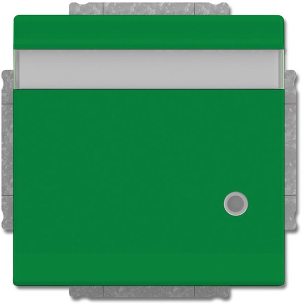 20 EUKNBL-13-82 CoverPlates (partly incl. Insert) future®, Busch-axcent®, solo®; carat®; Busch-dynasty® Green, RAL 6032 image 1