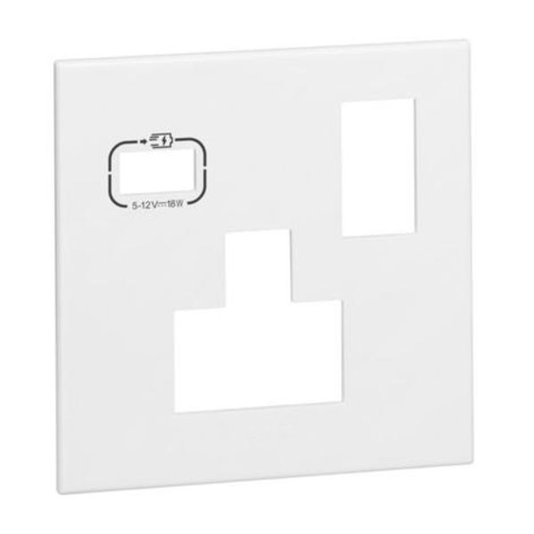 Plate 1 gang multistandard switched socket + USB C white image 1