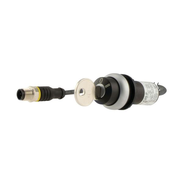 Key-operated actuator, RMQ compact solution, maintained, 2 N/O, Cable (black) with M12A plug, 4 pole, 0.2 m, 3 positions, MS1, Bezel: titanium image 9