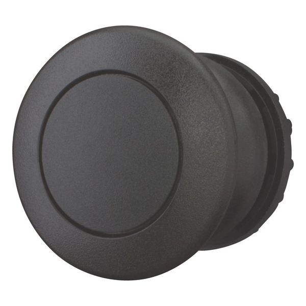 Mushroom actuator, RMQ-Titan, Mushroom, maintained, Mushroom black, black, Blank, Bezel: black image 10