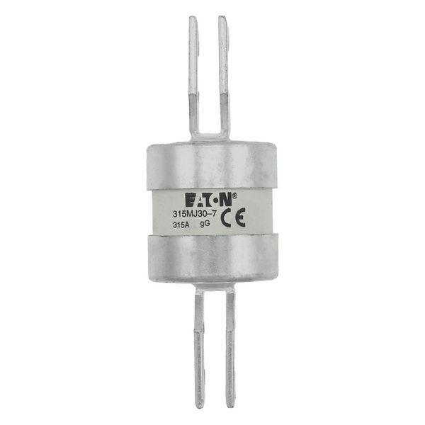 Utility fuse-link, LV, 315 A, AC 415 V, BS88/J, 38 x 110 mm, gL/gG, BS, 82mm fixing centres image 33