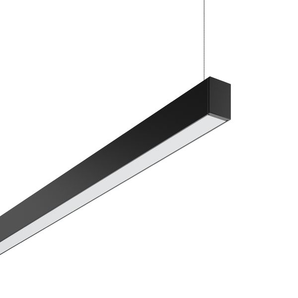 Less is more 27, 56 W, 3450 lm, 830, black, DALI Pendant luminaires, L image 2